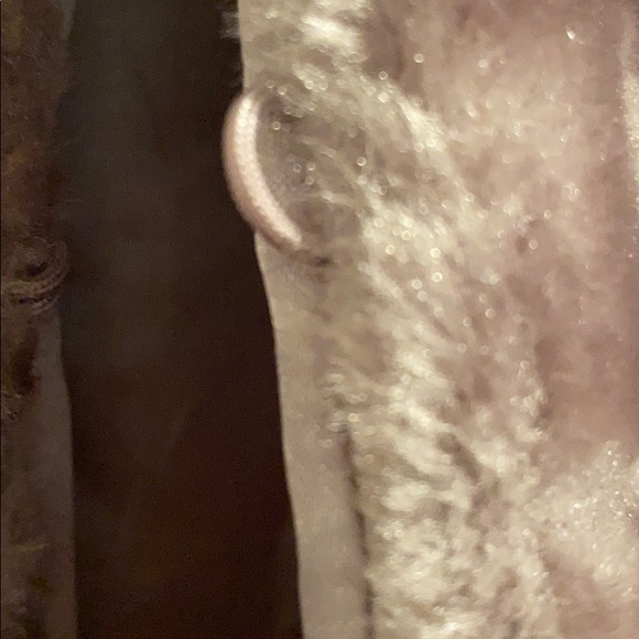 NWT faux fur vest - Picture 6 of 8